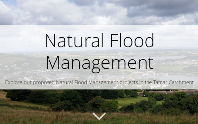 Project Proposals for Natural Flood Management