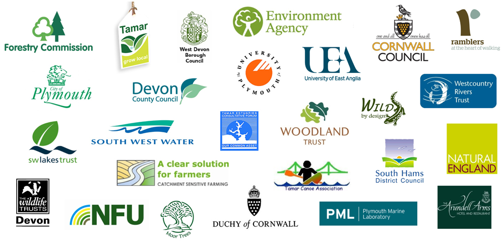 Tamar Catchment Partnership meeting – 31st July